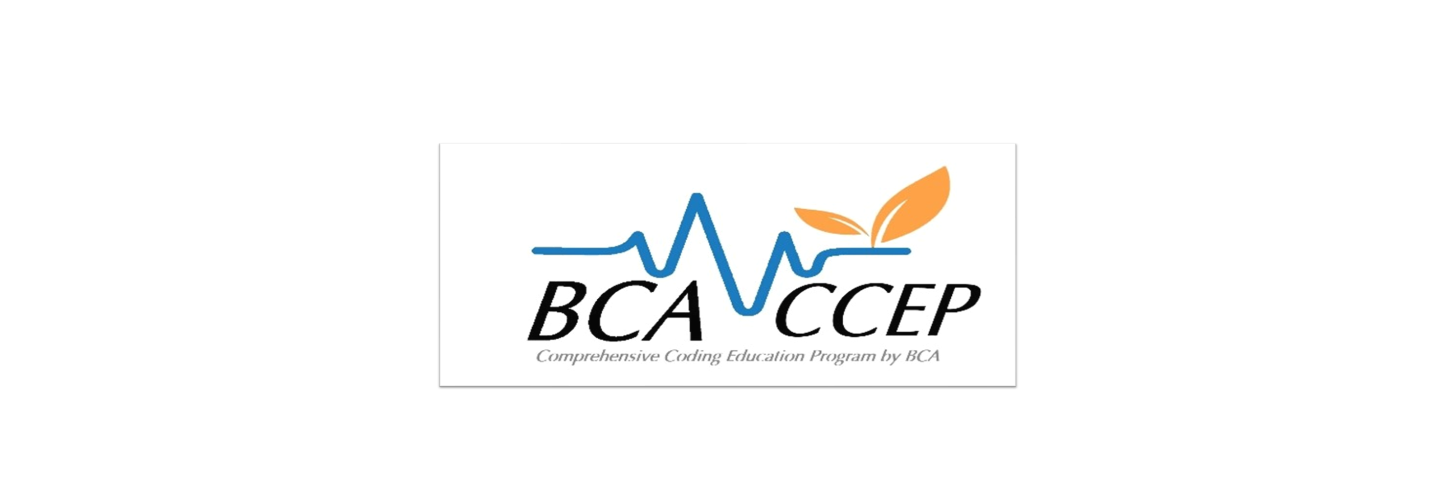 Ccep 2024 bca rev